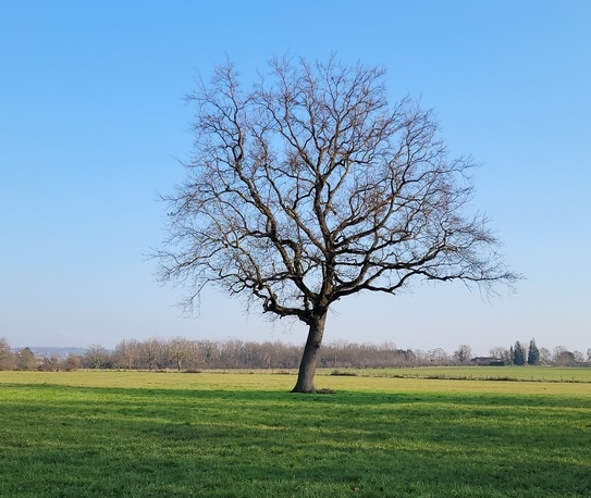 PENAPQuincieux.jpg